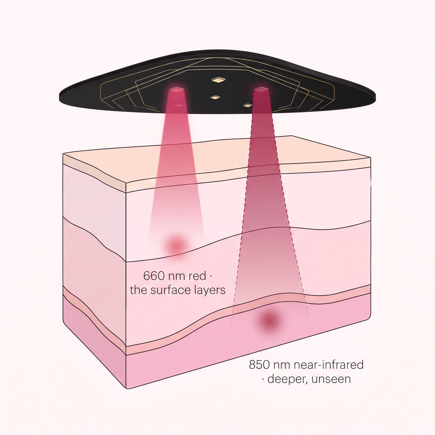 How the light reaches the skin: 660nm red in the surface layers, 850nm near-infrared deeper